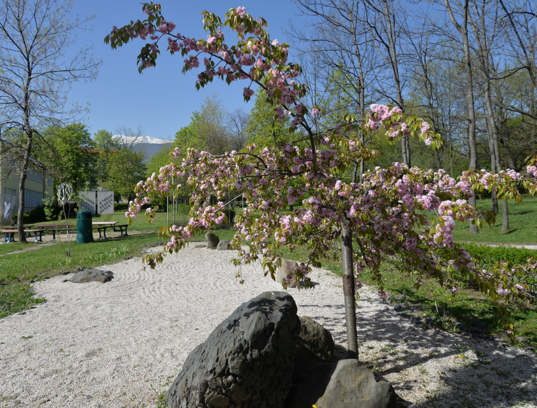 Dafina Garden (dafina).jpg